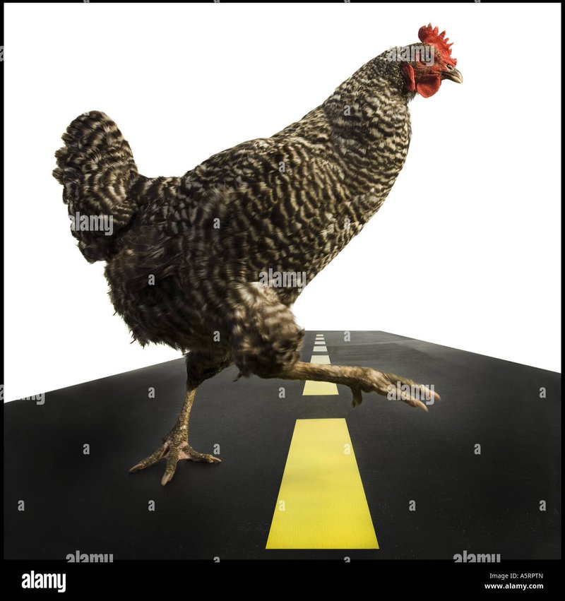 ¿Estás listo para el nuevo capítulo de Chicken Road 2 en Casinos Españoles?