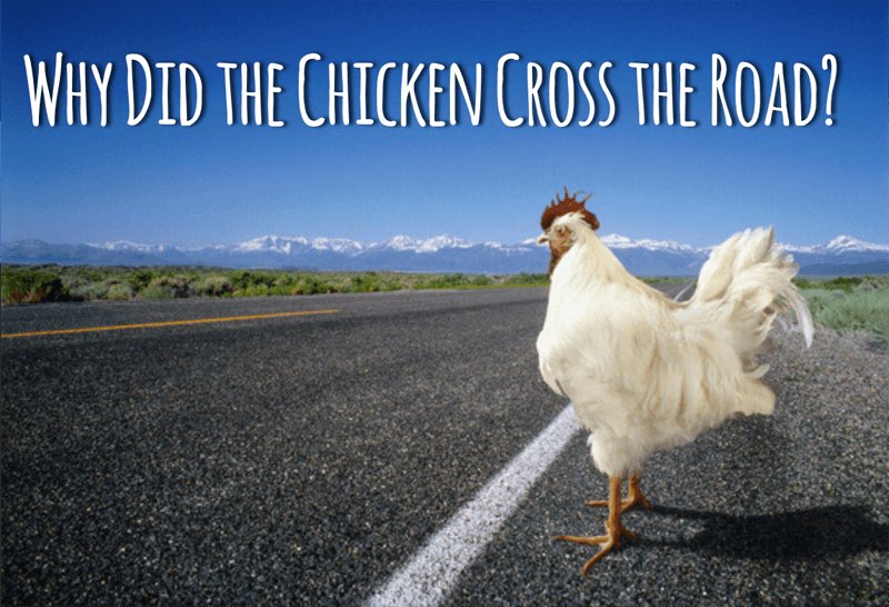 Explore juego chicken road Explore juego chicken road